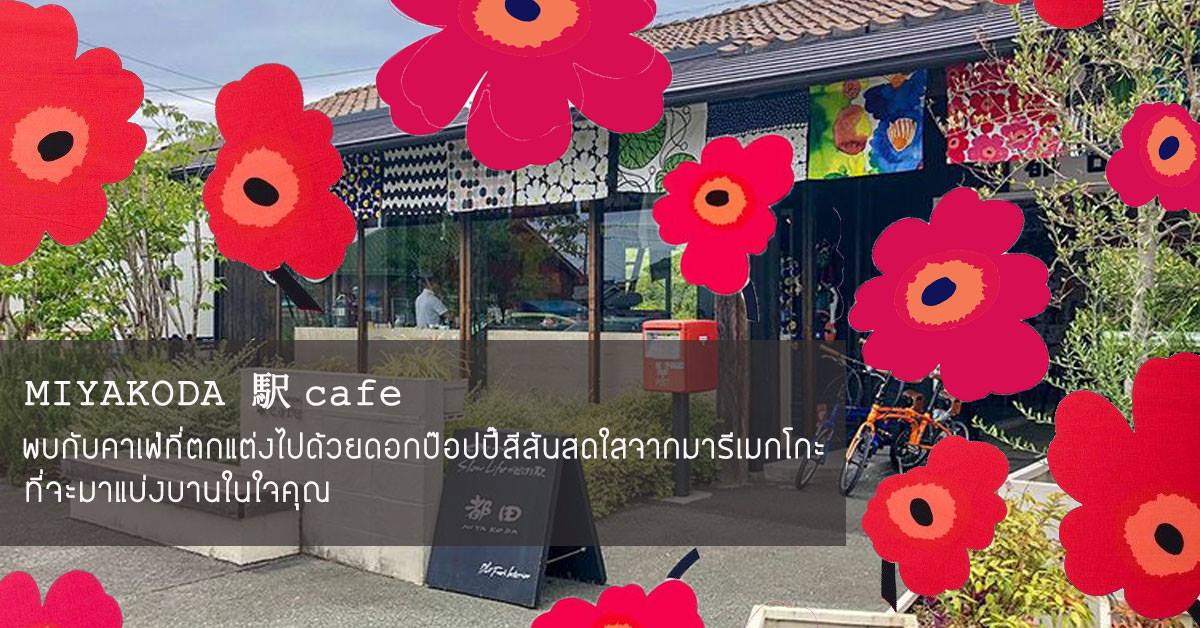 พบกับ MIYAKODA Eki cafe คาเฟ่ที่ตกแต่งไปด้วยดอกป๊อปปี๊สีสันสดใสจากมารีเมกโกะ ที่จะมาแบ่งบานในใจคุณ