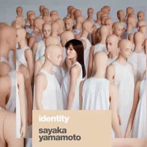 Yamamoto Sayaka Identity DVD
